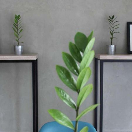 Casa Living Setiabudi Cakarta Dış mekan fotoğraf